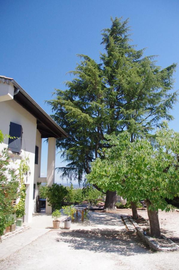 Le Grand Cèdre - 2 Chambres d'hôtes - Sud Ardèche Bourg-Saint-Andéol Extérieur photo